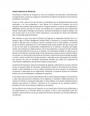 ENSAYO GERENCIA DE PROYECTOS