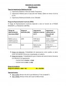 Resumen de Auditoria. Tipos de Importancias Relativas AU 320