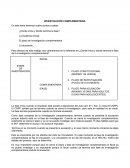 Investigacion complementaria