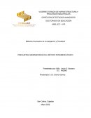 PREGUNTAS GENERADORAS DEL MÉTODO FENOMENOLÓGICO