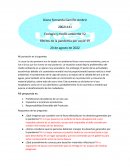 Ecología y medio ambiente V2 Efectos de la pandemia por covid-19