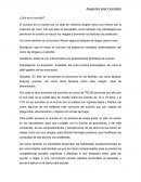 ¿Qué es el suicidio?