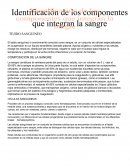 Componentes de la sangre