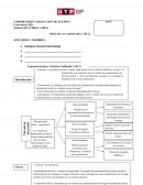 Cuadernillo Práctica