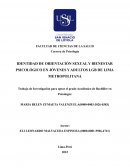 IDENTIDAD DE ORIENTACIÓN SEXUAL Y BIENESTAR PSICOLÓGICO EN JÓVENES Y ADULTOS LGBT DE LIMA METROPOLITANA