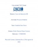 Proyecto modular induccion