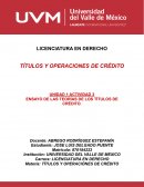ENSAYO DE LAS TEORÍAS DE LOS TÍTULOS DE CRÉDITO