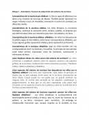 Proceso y adquisicion del lenguaje