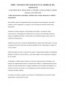 CASO PRÁCTICO: PEÑA NIETO vs TRUMP: LA PELEA POR EL MURO ESTALLA EN TWITTER