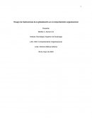 IMPACTO DE LA GLOBALIZACION EN EL COMPORTAMIENTO ORGANIZACIONAL