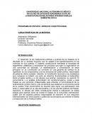 Programa de Derecho Constitucional