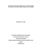 FACTORES DE RIESGOS PSICOSOCIALES DE LOS TRABAJADORES DEL HOSPITAL E.S.E SANTA TERESA, TESALIA HUILA, COLOMBIA