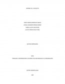 PROCESAR LA INFORMACION DE ACUERDO ALAS NECESIDADES DE LA ORGANIZACIÓN