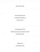 Relatoria Universidad Popular del Cesar