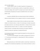 ¿Qué es el cambio climático?