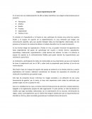 Etapas implementación ERP