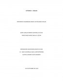 DESARROLLO SOCIAL CONTEMPORANEO