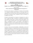 Ensayo Modelado de Bases de datos