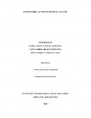 ENSAYO SOBRE LA CONCEPCIÓN DE LA CULTURA