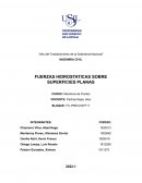 Mecanica de Fluidos-Propiedad de los fluidos