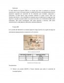 Valor Relativo de Soporte (CBR)