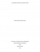 EV2: INFORME PLANEACIÓN DEL SOPORTE TÉCNICO