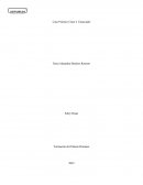 Caso Práctico Clase 4. Enunciado