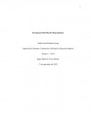 Documento Final Plan De Mejoramiento