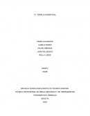 TRATAMIENTOS TERMICOS