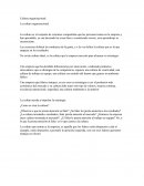 Cultura organizacional ¿Como se crea la cultura?