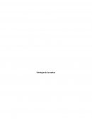 Patologías de la madera