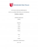 EXPERIENCIA CURRICULAR DE FINANZAS