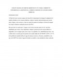 ENSAYO DEJAR LOS GRIFOS ABIERTOS EN UN CLIMA CAMBIENTE – INTEGRIDAD LA ADAPCION AL CAMBIO CLIMATICO EN LOS RECURSOS HIDRICOS