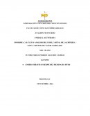 CALCULO Y ANALISIS DEL UODI, CAPITAL DE LA EMPRESA CPPC Y SISTEMA DE VALOR AGREGADO