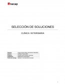 SELECCIÓN DE SOLUCIONES Clinica Veterinaria