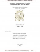 Adidas – Nike Una competencia de marketing hasta la actualidad