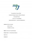 TRABAJO PRÁCTICO N°2 - Clínica de la Fonoestomatología