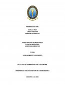 INVESTIGACIÓN DE MERCADOS PLAN DE MERCADEO: AEROLÍNEA EMIRATES