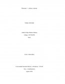 Dimensiones de la cultura presentadas en el OVA