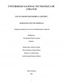 INFORME DISEÑO ORGANIZACIONAL