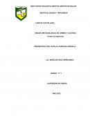 ENSAYO METODOLOGICO DE CRIMEN Y CASTIGO (Fiodor Dostoyevski)