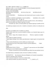 PLAN DE TRABAJO DOCENTE. Página 1