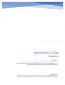 Historia de la Microinyeccion