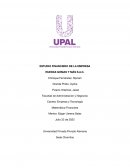 ESTUDIO FINANCIERO DE LA EMPRESA RUEDAS GOMAS Y MÁS S.A.C.