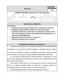 FORMATO PRACTICA-DIBENZALACETONA