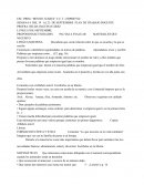 PLAN DE TRABAJO DOCENTE