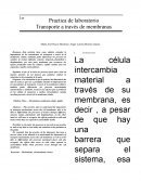 TRANSPORTE A TRAVES DE MEMBRANAS