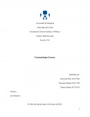 Traumatología Forense