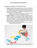 Desarrollo Cognitivo temprano en seres humanos