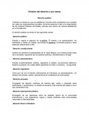 Derecho y sus ramas